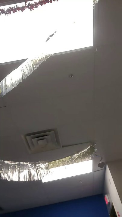 2025-02-07-233551489 自然に振る舞う #onthisday #💗 #DJLbackhand #fy #foryou #popular #😂😂😂 #robot #busy #power #😊#billybounce #slowmotion #water #cat #viral #woahchallenge #trending #hiphopdance #explorepage #workout  #onepiece #tiktok #dancer #hiphop #foryou