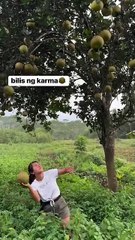 ,,,,,,,,,,Women breaking the fruit,,,,,,,,,