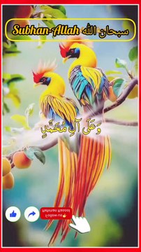 *درود شریف کی فضیلت* ❣💯💯💯💯💯💯💯💯💯 *1. درود شریف پڑھنے سے گناہوں کی معافی ملتی ہے اور اللہ تعالیٰ انسان کے درجات بلند فرماتا ہے* *2. درود شریف پڑھنے والے پر اللہ کی رحمت نازل ہوتی ہے اور اس کے لیے آسمان کے فرشتے دعا کرتے ہیں* *3. : درود شریف پڑھنے