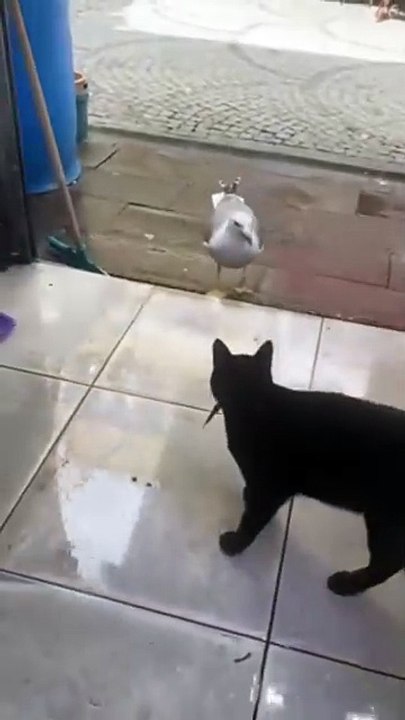 Brazen robbery in broad daylight