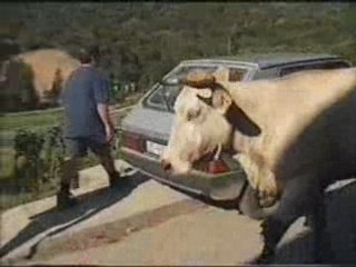 MIRO EN EL CAMINO 8  (VILLAFRANCA-RUITELAN 1999)