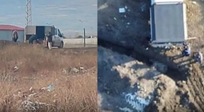 Köpek katliamına dair yeni görüntüler ortaya çıktı