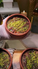 اكتشفي وصفة أم علي ترند دبي بطابع شرقي مع لمسة عصرية 🍮