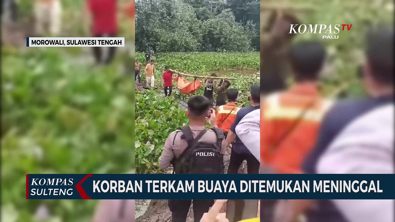 Korban Terkam Buaya Ditemukan Meninggal Dunia