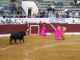 Miniature DailyMotion