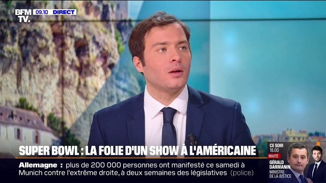 Le Puppy Bowl , l'évènement canin qui vole la vedette au Super Bowl, la finale de football américain