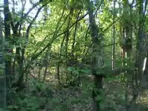 HOMEMADE GHILLIE SUIT TEST AIRSOFT SNIPER