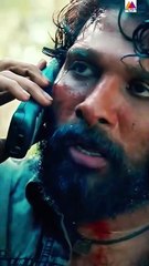 Pushpa Calls Pushpa 2 an Antagonist and Mocks It 😎