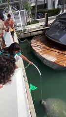 Booba et sa fille avec un énorme lamantin 🤣