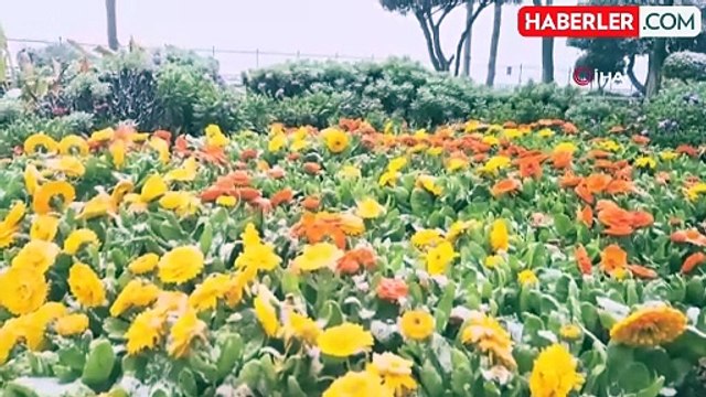 Silivri'de Kar Yağışı: Vatandaşlar Hatıra Fotoğrafı Çekildi