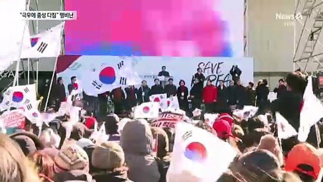 탄핵 반대 집회 참석 두고…민주 “극우 세력에 충성 다짐하나”