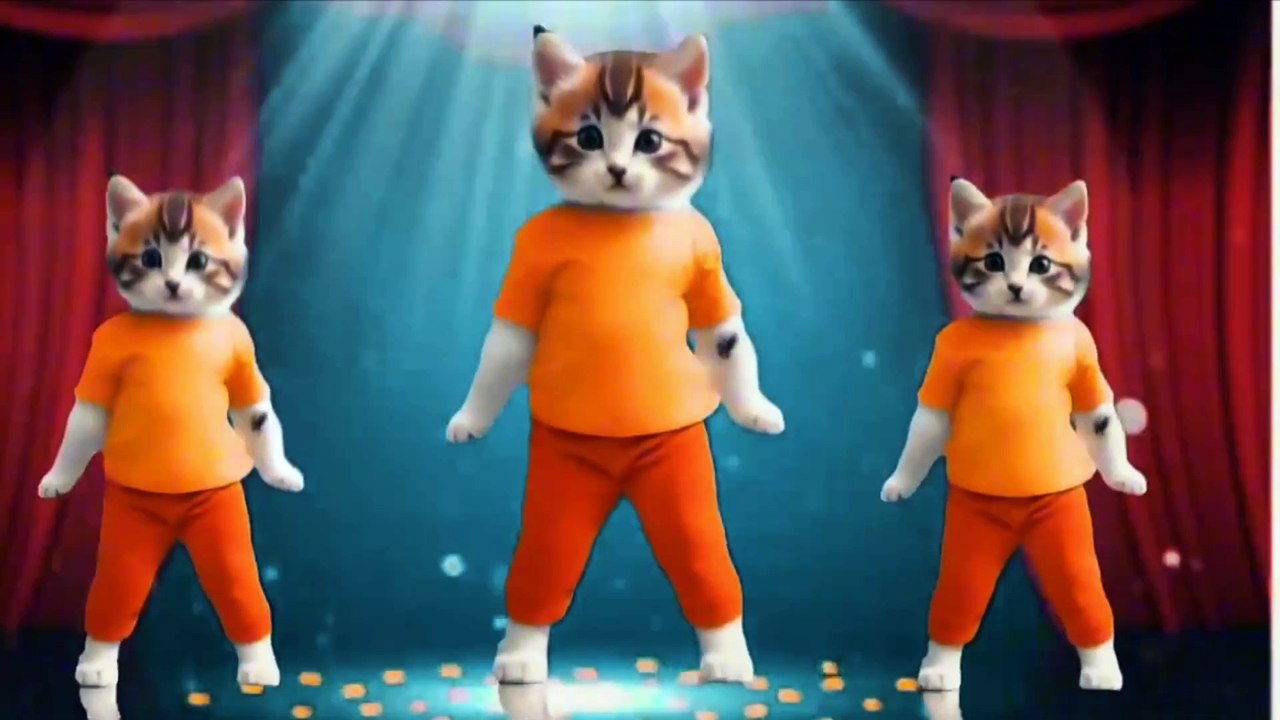 😻🐾️Cat videos funny dance 💃😻😮cat #catvideos #cutecat #catlover #cute #cuteanimal #catdance #funnycats#cutecat #catdanceshow #catdancetime #petdance #everyone #usa #newdancevideo  #cuteanimal #catdance #funnycats #motorcycle #pet #petdance