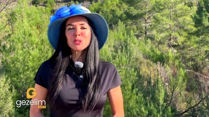 Son 10 yılın rekoru! Rakamlar çok şaşırtıcı