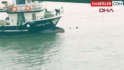 Marmara Denizi'nde can pazarı! İmdada balıkçılar yetişti