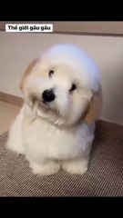 Motivation to sell yourself to capitalists every day