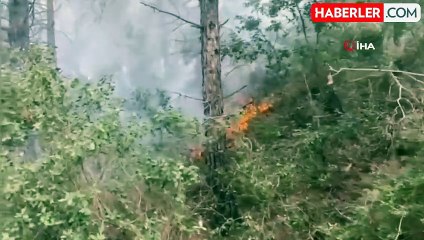 Osmaniye'de Orman Yangını Kontrol Altına Alındı