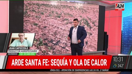 🔴 CALOR, FUEGO Y SEQUÍA EN SANTA FE: GRANDES PÉRDIDAS DE PRODUCCIÓN DE SOJA