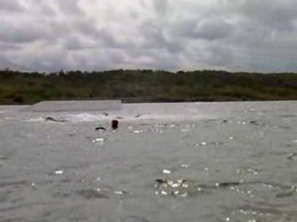 Sbend wake ski ho guezou