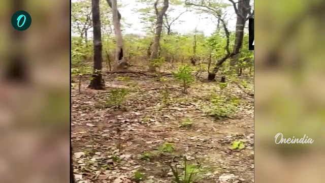 Chhattisgarh Bijapur Naxal Encounter: क्या है लाल आतंक, जानिए असली कहानी | वनइंडिया हिन्दी
