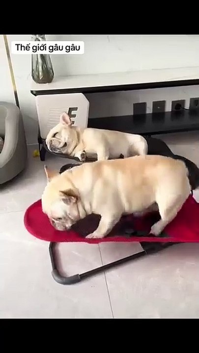 Let me lie down on a sofa 🎼🎧🎤