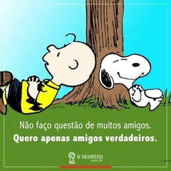 Melhores Lições Snoopy