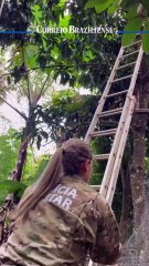 Cobra é resgatada em área residencial no Jardim Botânico.