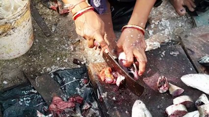 Indian mackerel & pompano fish cutting at fish market