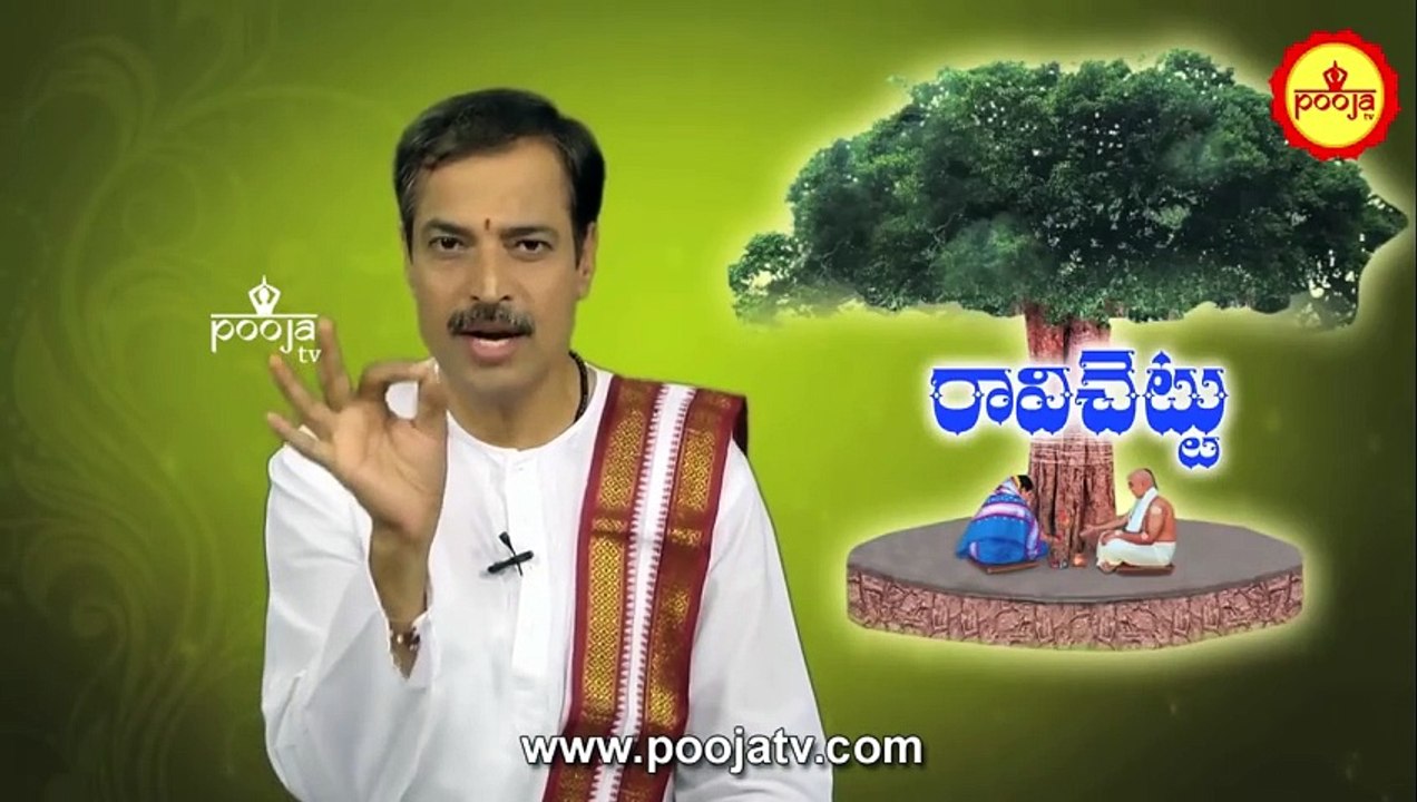రావిచెట్టు కొమ్మతో ఇలా చేస్తే...సంతాన వృద్ధి | Ravi Chettu Benefits | Ravi Chettu | Pooja TV Telugu