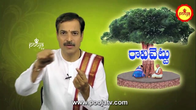 రావి చెట్టుకి 21 సార్లు ఇలా చేస్తే..? | Importance Of Ravi Chettu | Ravi Chettu Puja | PoojaTVTelugu