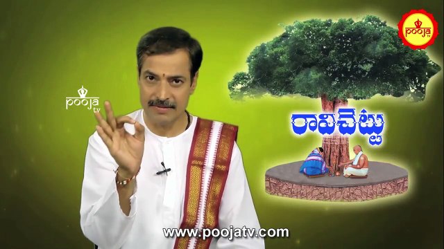 రావిచెట్టుని ఎందుకు తాకరాదు..కారణం ఏమిటి ? | Ravi Chettu Anduku Takaradu | Importance of Ravi Chettu