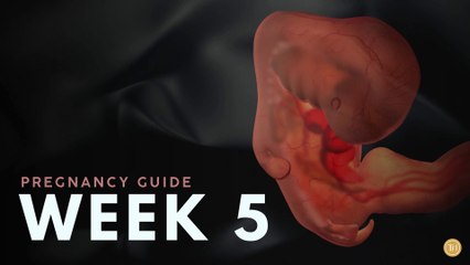 What to Expect at Week 5 | Week by Week Pregnancy Guide