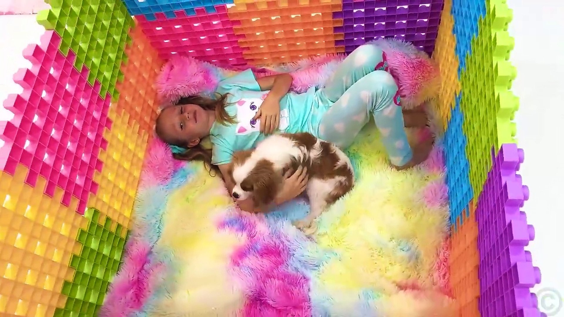 ⁣Nastya takes care of her puppy and kittens