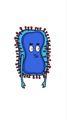 @ZEQUOIZA - Quand le Covid 19 donne des conseils à la Variole du singe 😅