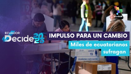 Jurado: La motivación de los ecuatorianos es la intolerancia a la violencia