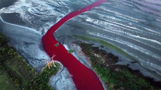 NO COMMENT: Así es río de sangre teñido de rojo por contaminación en las afueras de Buenos Aires