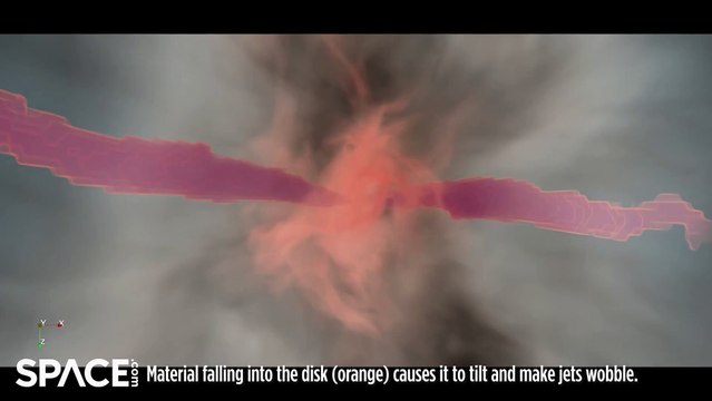 Watch The Evolution Of A Jet Formed By A Collapsar
