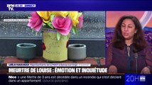 Meurtre de Louise en Essonne: 