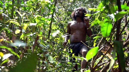 1M Dollars Skills! Brave Bushman Harvesting Beehive with Bare Handed and Eating Delicious_007