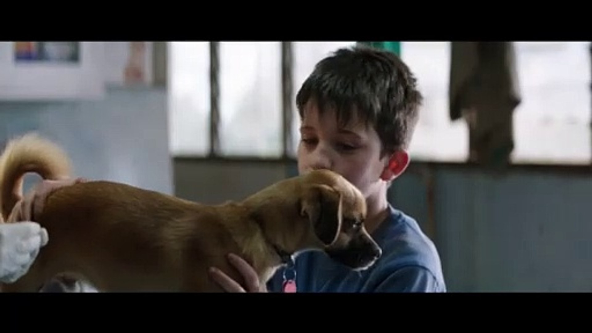 the pack /2015 thriller,horror movie