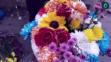 ফ্রান্স, ইউক্রেন থেকে সটান ভিক্টোরিয়া, ভ্যালেন্টাইন্স উইকে জমজমাট প্রেমের মরশুম