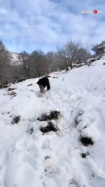 Hiking fail: Girl struggles on hiking adventure due to inappropriate shoes