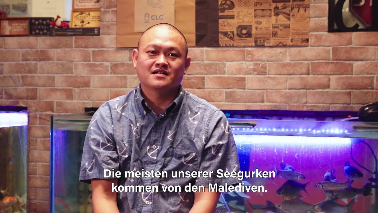 Adventurous bites: Seegurke