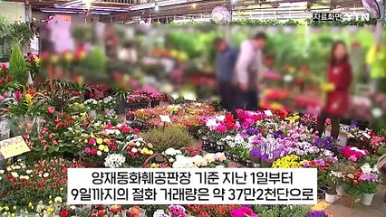 "방금 쓴 꽃다발 팝니다"...치솟은 꽃값에 '중고 거래'까지 등장 [지금이뉴스] / YTN
