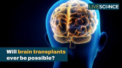 Will Brain Transplants Ever Be Possible?