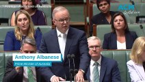 Prime Minister Albanese responds to potential US tariffs on steel and aluminium