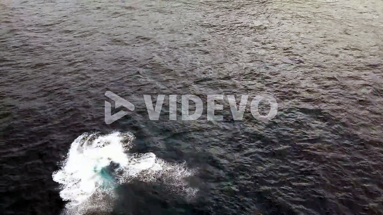 Humpback Whale Breach In Blue Ocean Near Bondi Beach
