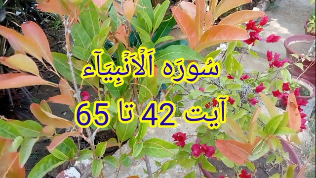 Surah Al Anbiya | surat ul anbiya | quran pak ki tilawat | quran recitation |