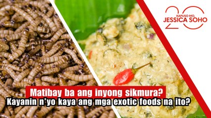 Matibay ba ang inyong sikmura? Kayanin n’yo kaya ang exotic foods na ito? | Kapuso Mo, Jessica Soho