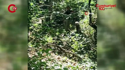 Cesetsiz cinayet sanıkları ikinci kez yargılanıp ceza aldı