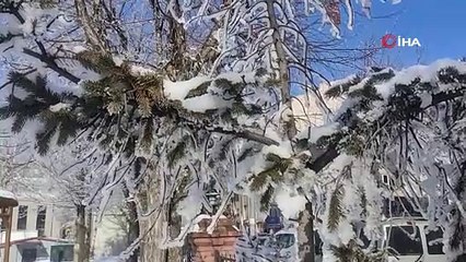 Eksi 28,4 derece görüldü! İşte Türkiye'nin en soğuk yeri